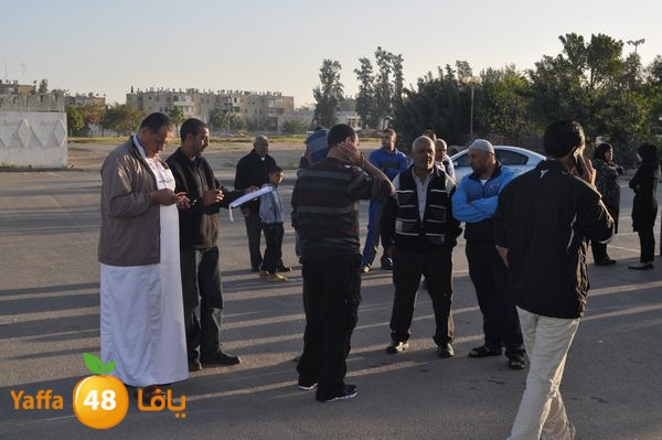 3omralud321 (30).JPG